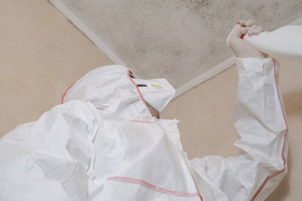 Best Mold Removal Specialists  in Auberry, CA