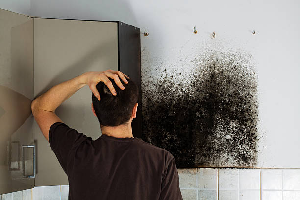 Crawl Space Mold Removal in Auberry, CA