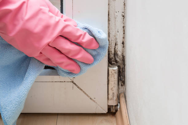 Best Crawl Space Mold Removal  in Auberry, CA